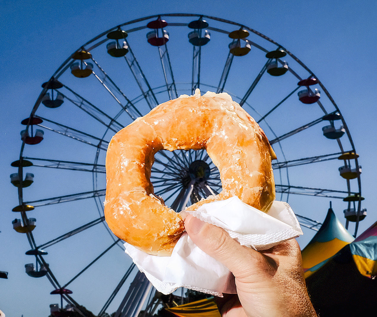 Doughnut